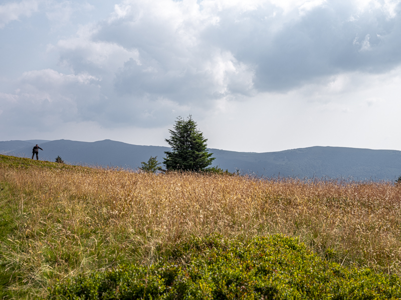 mourning walk #2